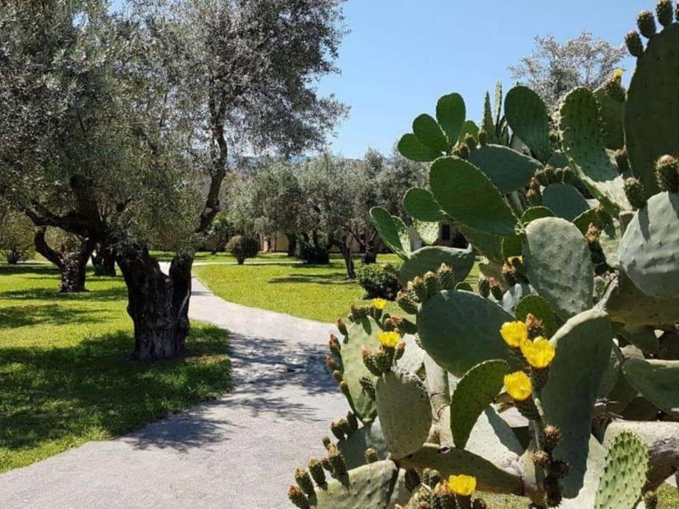 Alloggio Apartment in Calabria