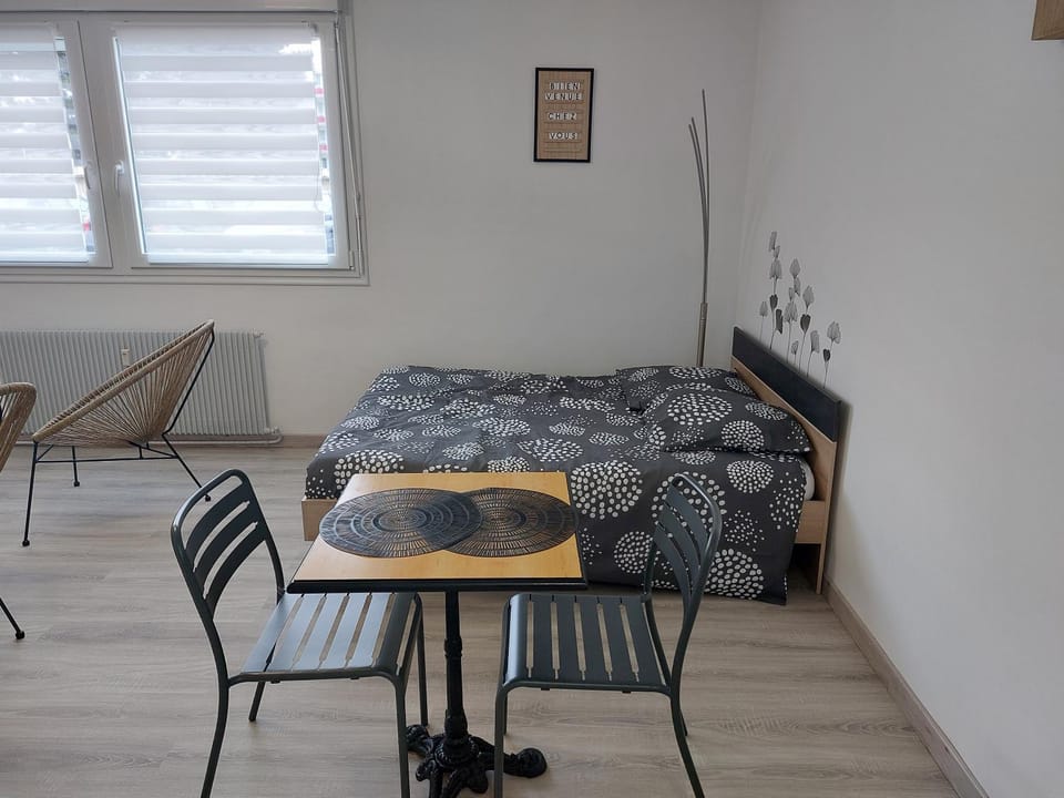 charmant studio proche du centre de neuville les dieppe Apartment in Dieppe