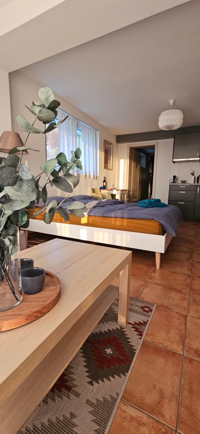 Magnifique Studio à louer Bed and Breakfast in Canton of Bern (Region)