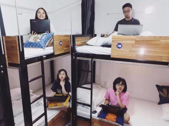 Bed, People, Photo of the whole room, Bedroom, bunk bed