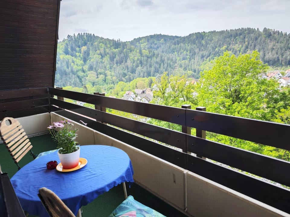 Apartment with panoramic views in the black forest Apartment in Baden-Württemberg