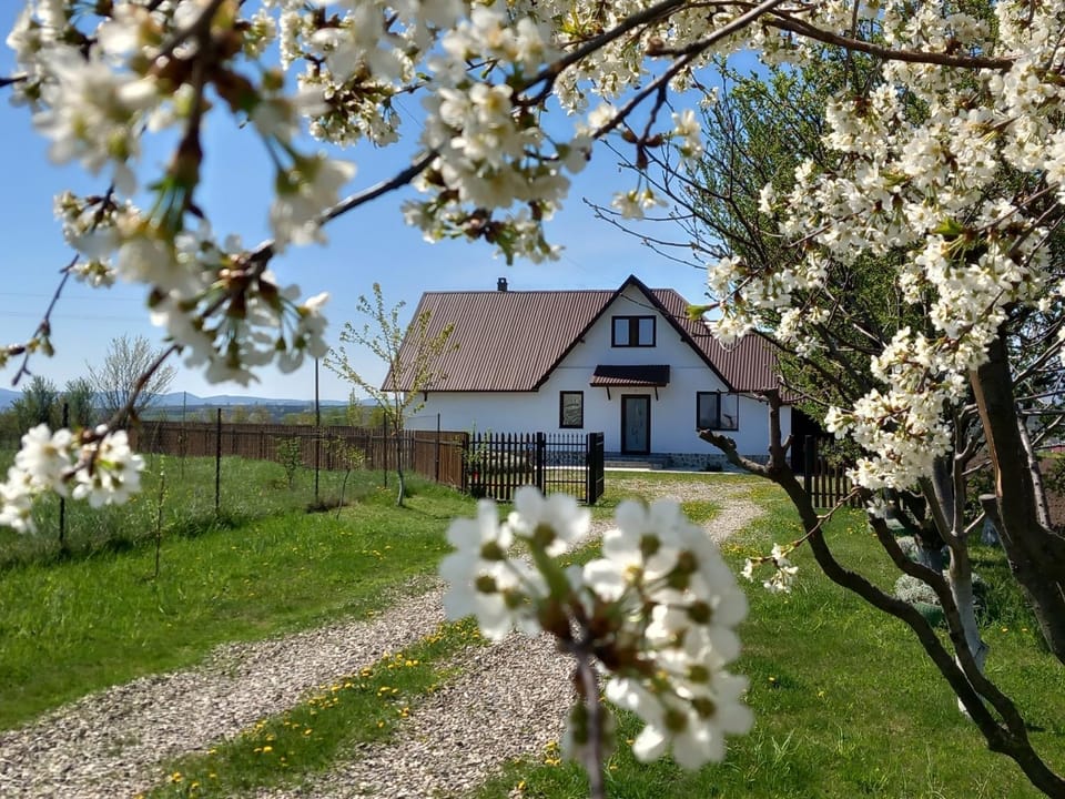 Căsuța din Deal House in Romania