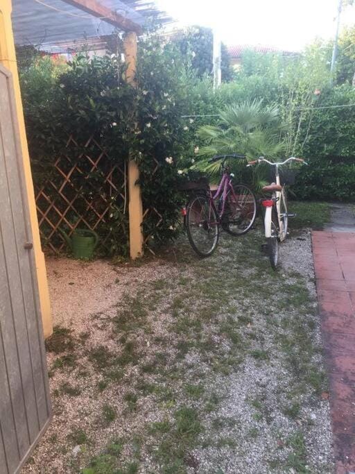 La Casina di Forte House in Forte dei Marmi