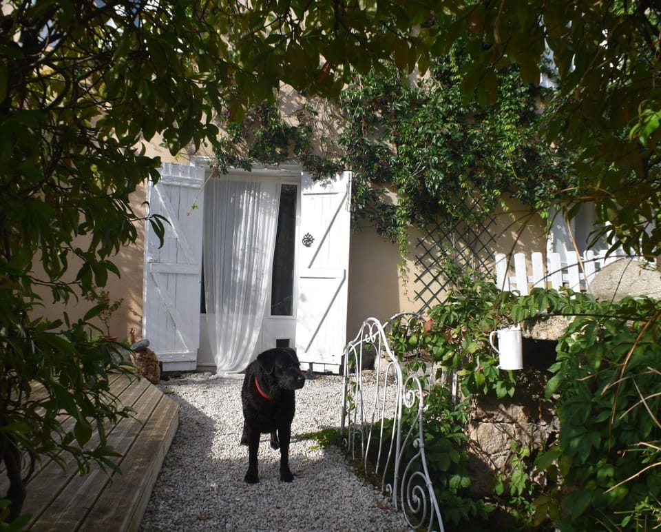 Day, Garden