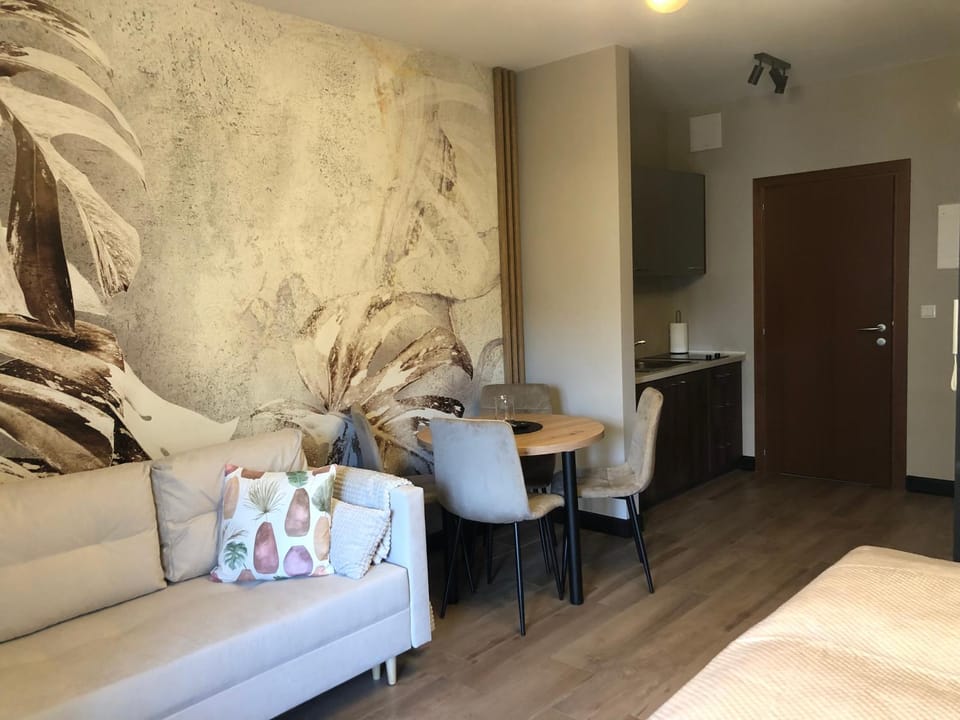 Living room, Photo of the whole room, Seating area