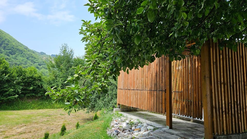 Shower, Spring, Natural landscape, Summer