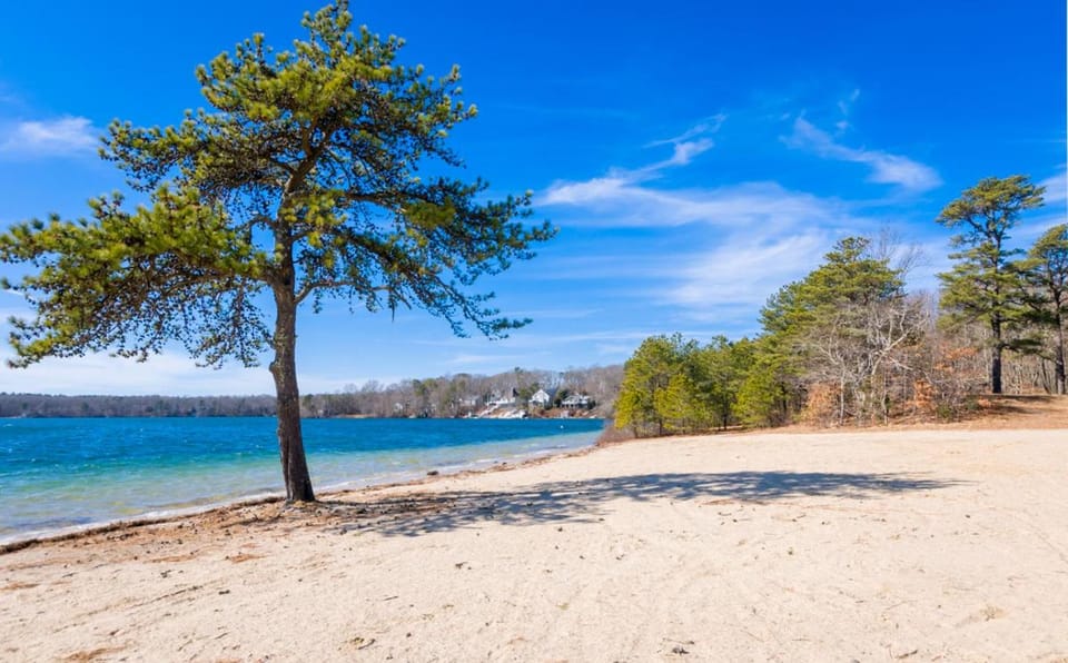 Nature Lover's Pondside Getaway House in Mashpee