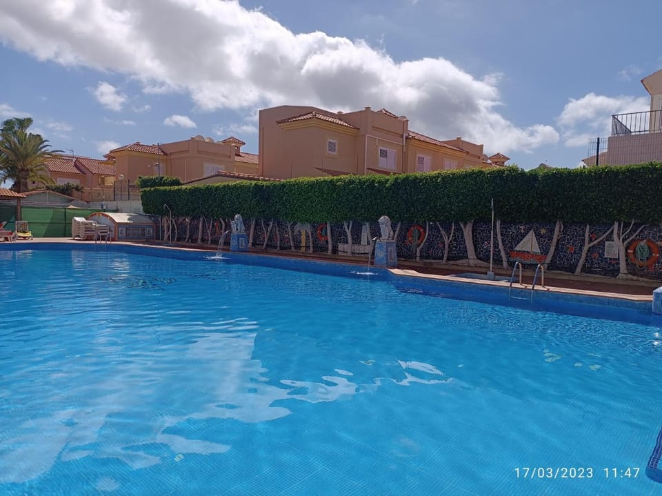 Swimming pool, Swimming pool