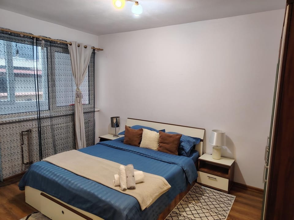 Marian House Apartment in Sibiu