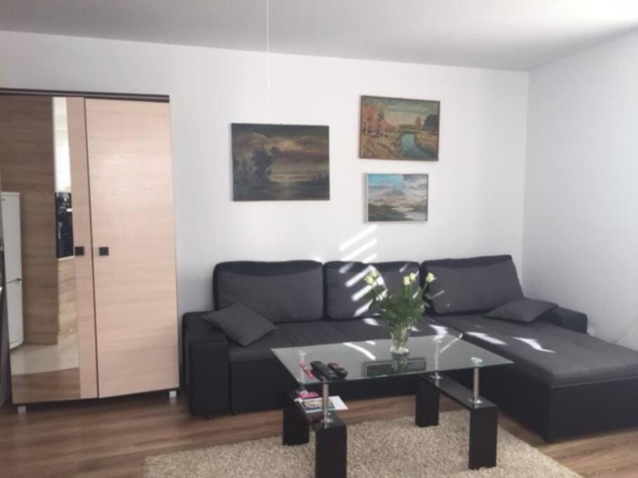 Apartament/Mieszkanie, ścisłe centrum. Apartment in Poland