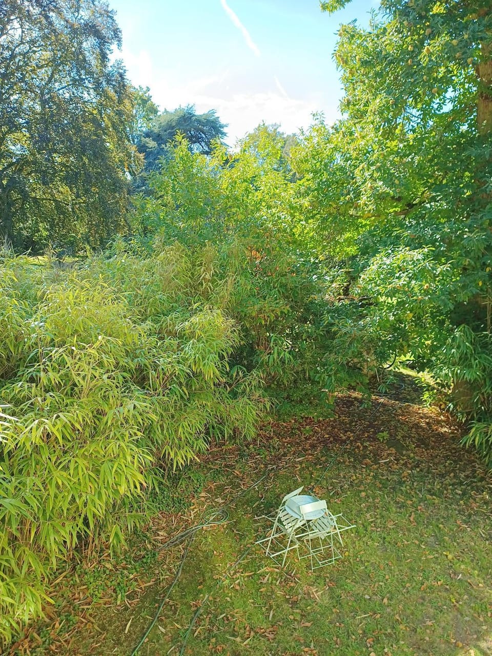 Garden, Garden view