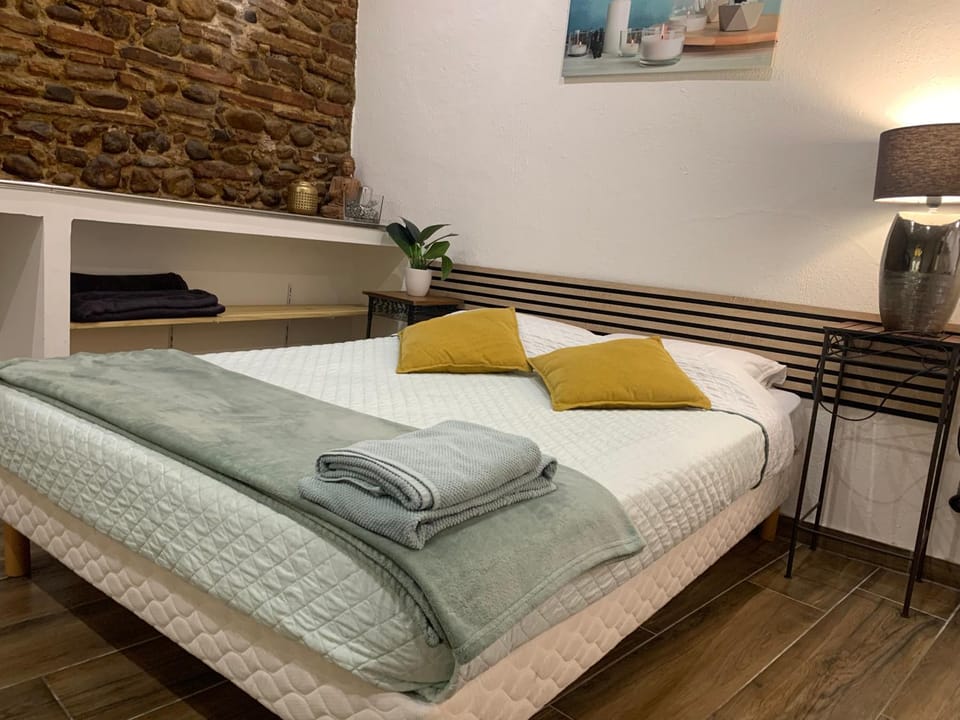 Studio 25m2 en plein cœur de Perpignan Apartment in Perpignan