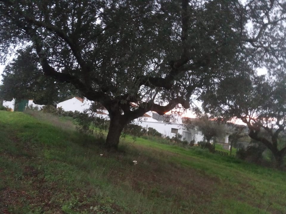 Natural landscape
