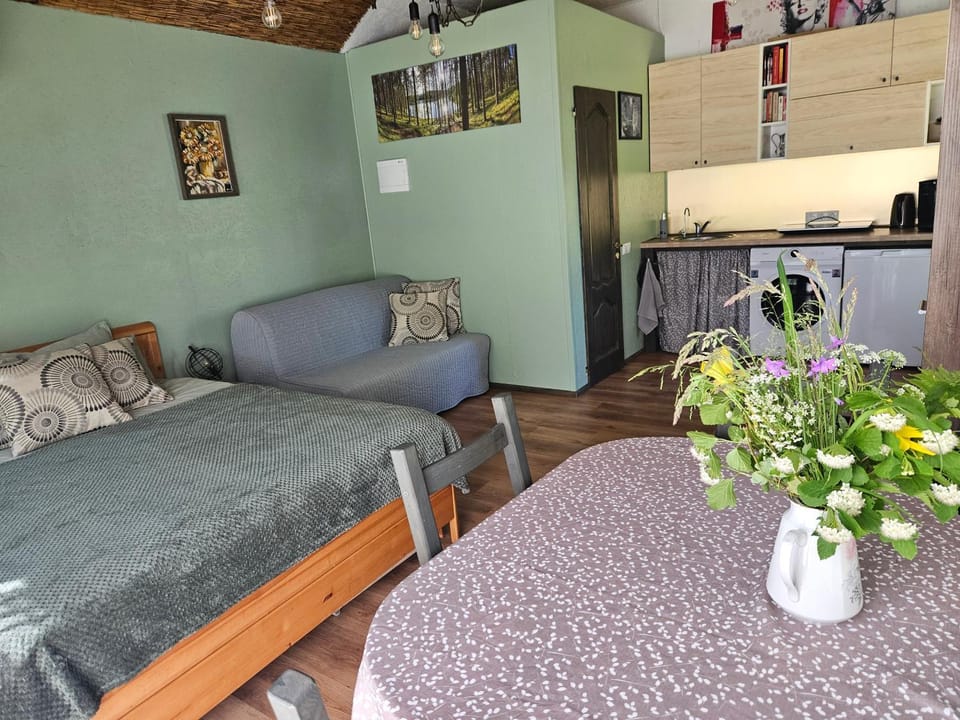 Kitchen or kitchenette, Living room