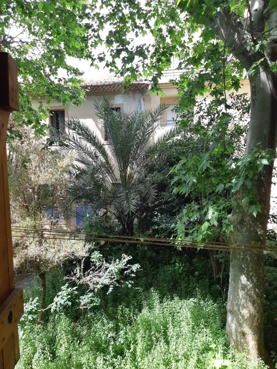 Inner courtyard view