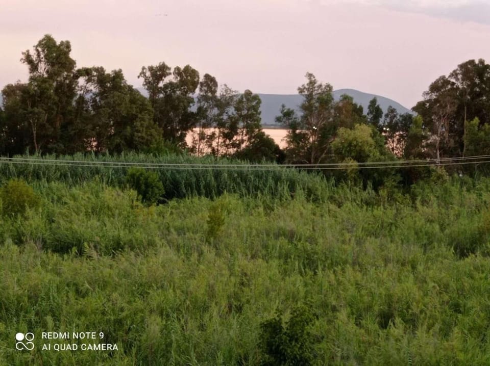Sunshine Apartment Apartment in Peloponnese, Western Greece and the Ionian