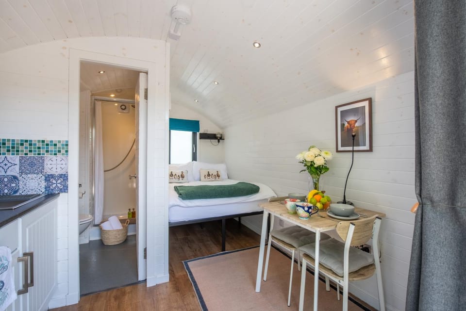 Bed, Bathroom, Kitchen or kitchenette, Photo of the whole room, Dining area, Bedroom