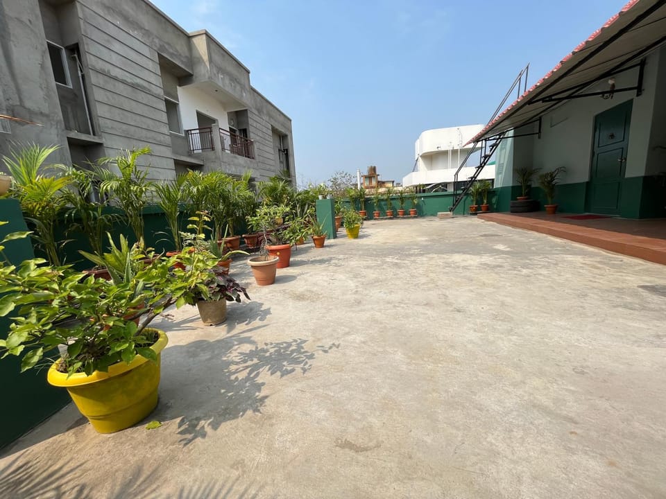 Property building, Day, Garden, Garden view