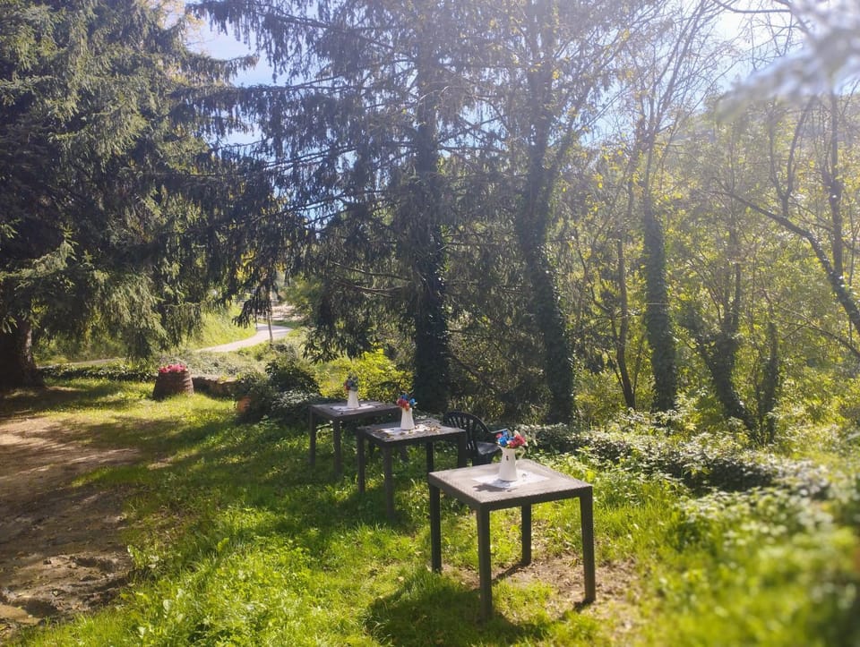 Hostal La vall Vacation rental in Garrotxa
