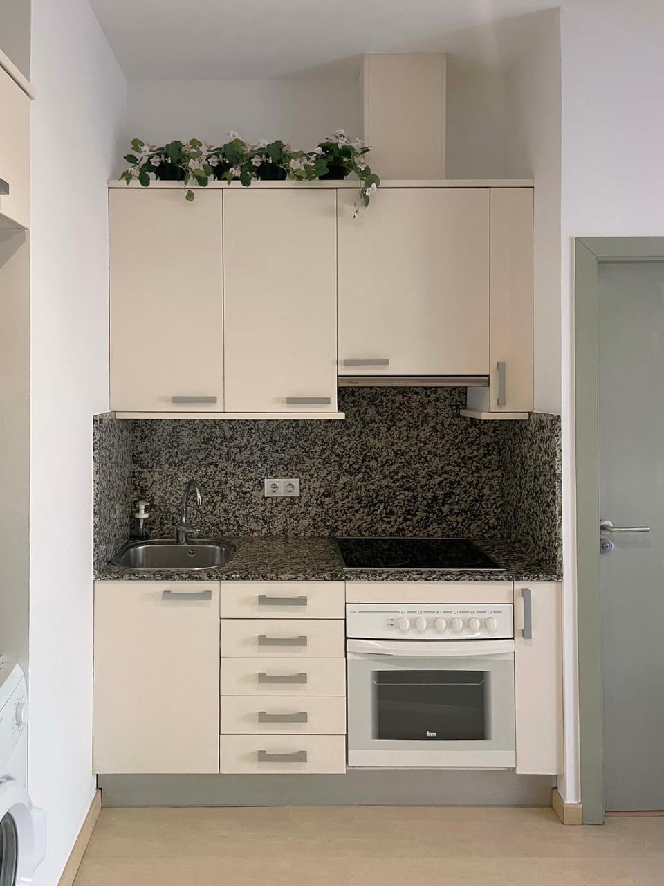 Kitchen or kitchenette, pet friendly, stove
