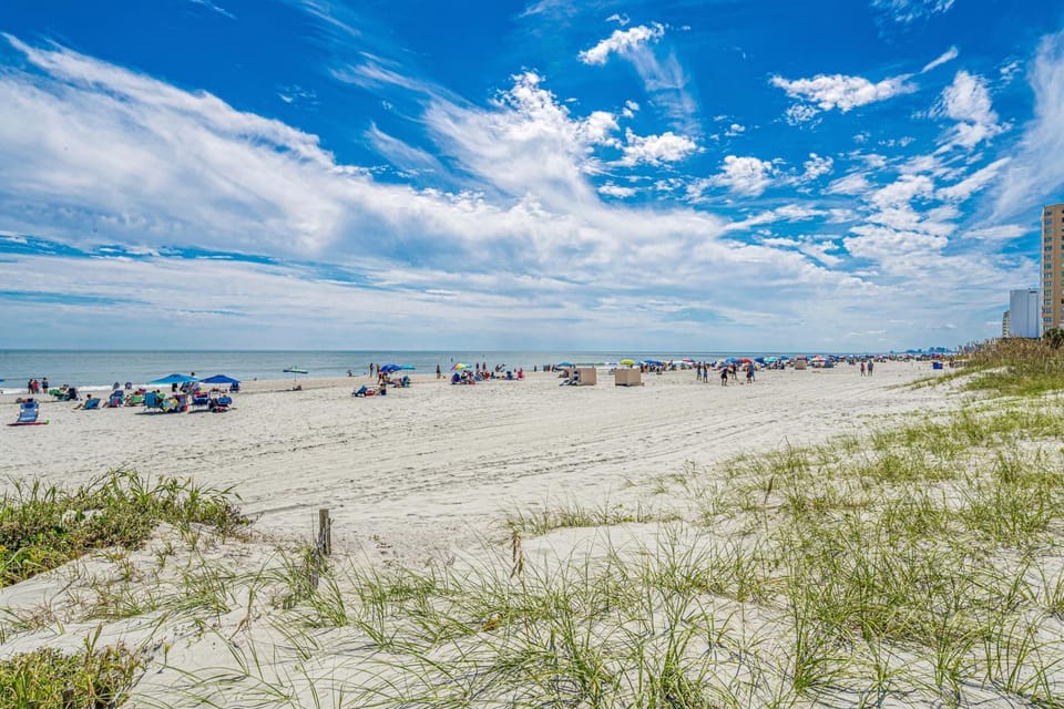 Nearby landmark, Communal lounge/ TV room, Spring, Day, People, Natural landscape, Beach, Evening entertainment, Sea view, group of guests