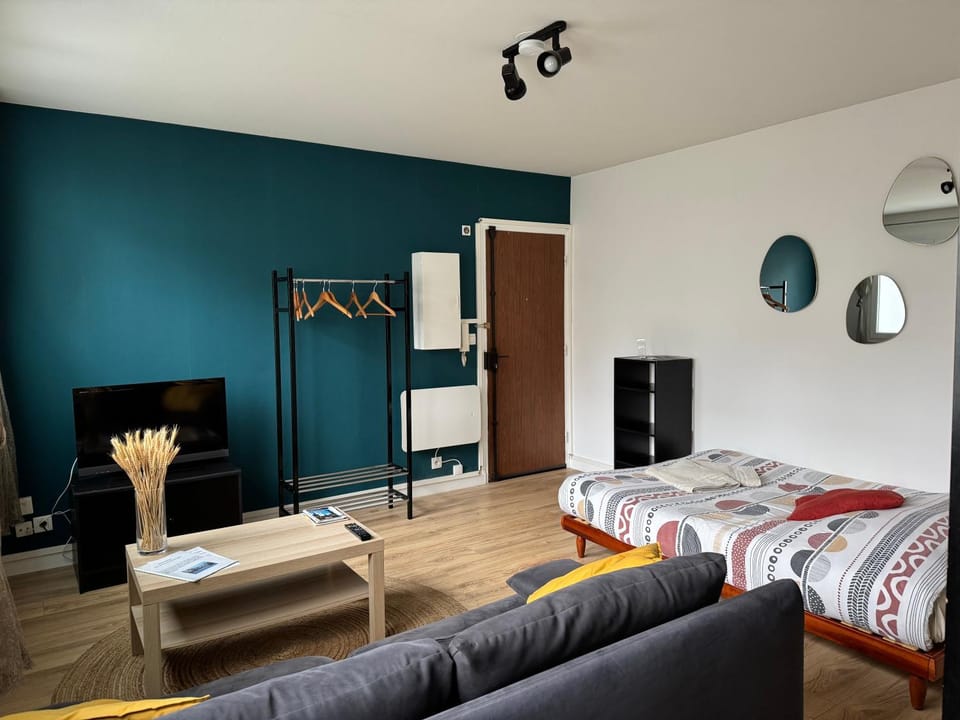 Dijon - Grand studio proche parc Darcy & gare Apartment in Dijon