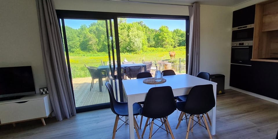 Dining area, kitchen