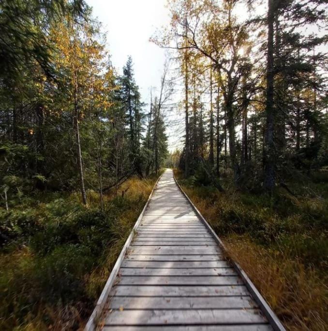 Natural landscape