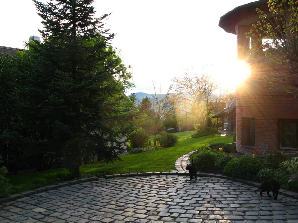 Vadrózsa Panzió Szentendre Bed and Breakfast in Hungary