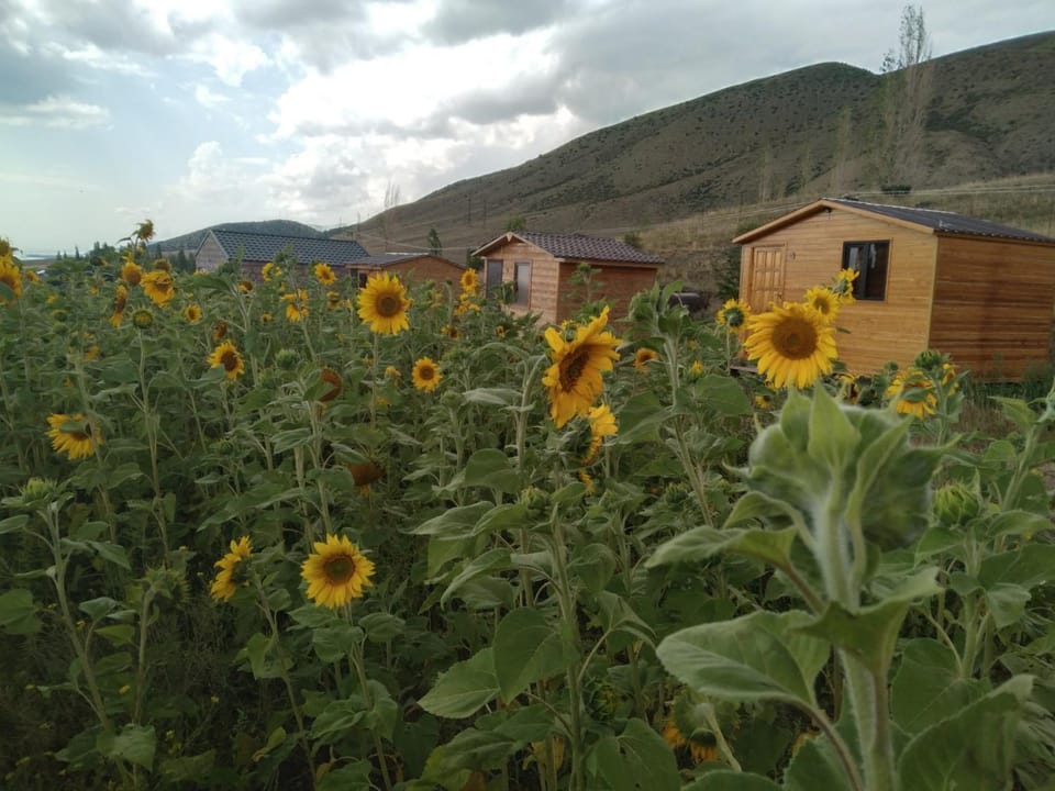 Эко Аура Apartment in Armenia