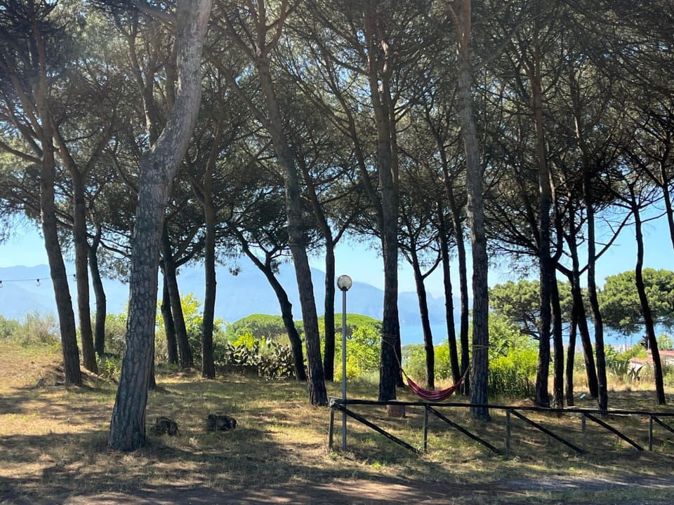 Spring, Day, Natural landscape, Summer, Sea view