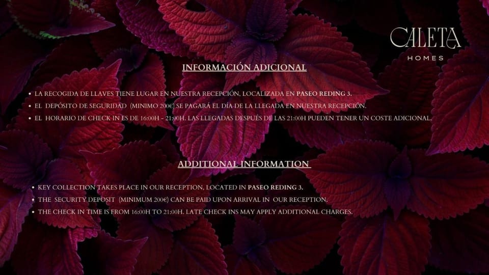 Text overlay