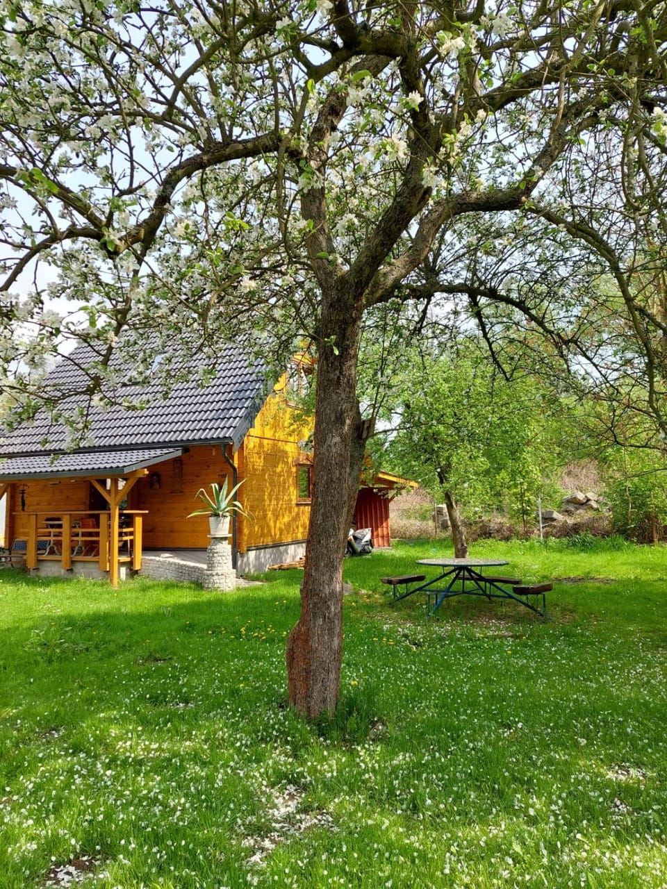 Marel-Domek Eva - Polanica Zdrój centrum House in Lower Silesian Voivodeship