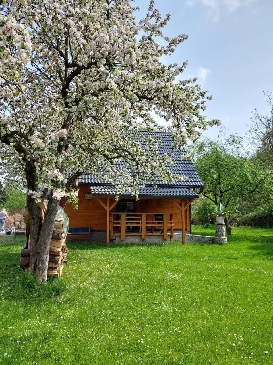 Marel-Domek Eva - Polanica Zdrój centrum House in Lower Silesian Voivodeship