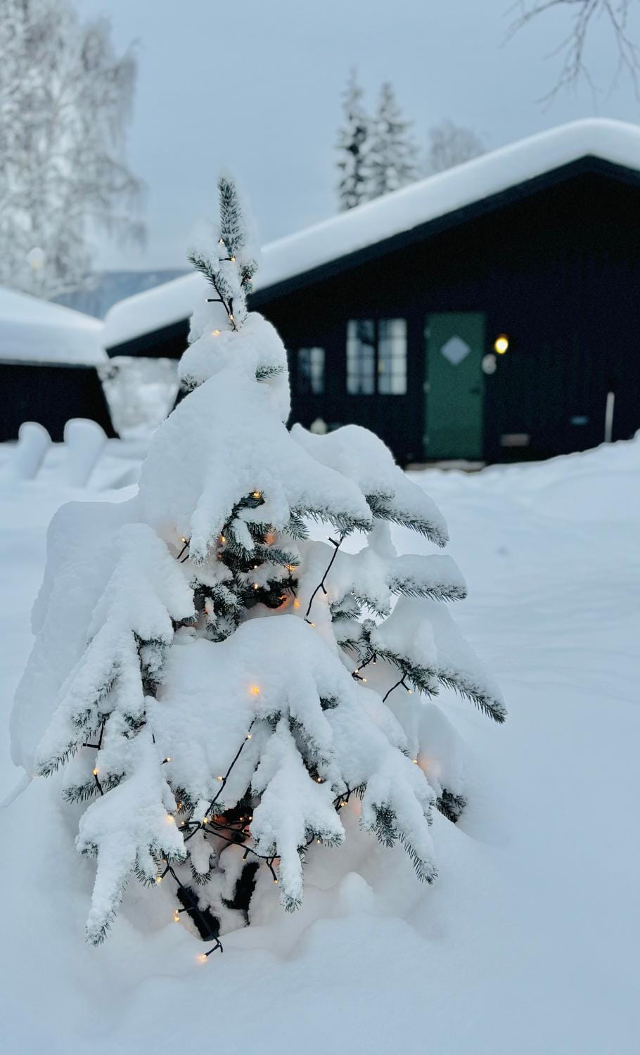 Day, Winter