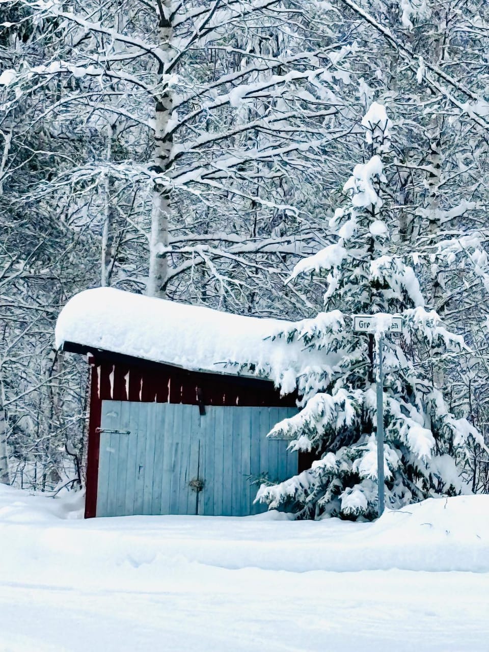 Day, Natural landscape, Winter