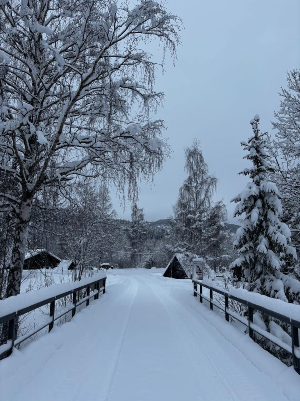 Natural landscape, Winter