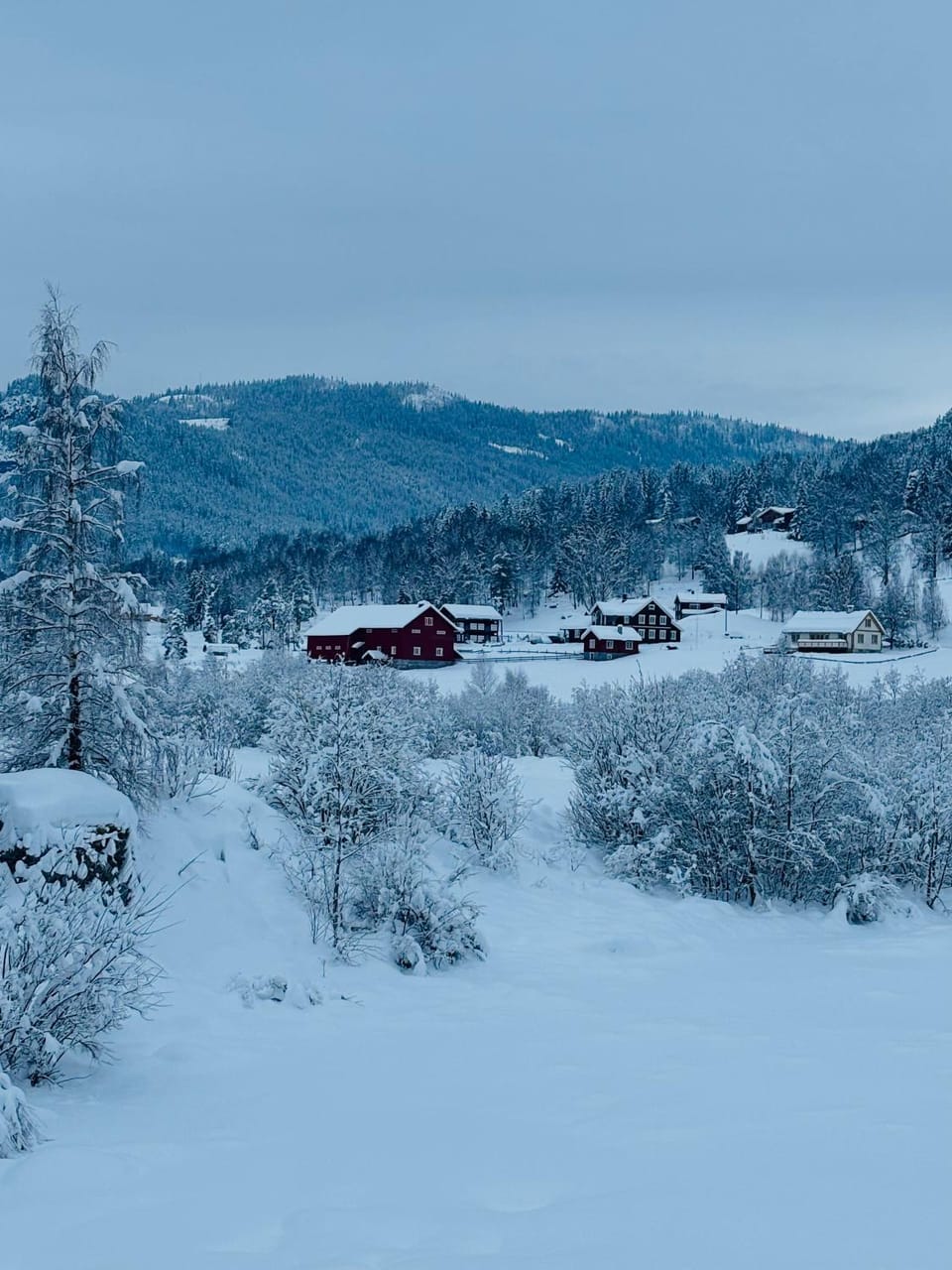 Natural landscape, Winter