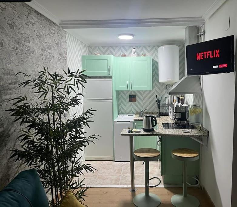 TV and multimedia, Coffee/tea facilities, Kitchen or kitchenette, Dining area, minibar, pet friendly, stove, toaster