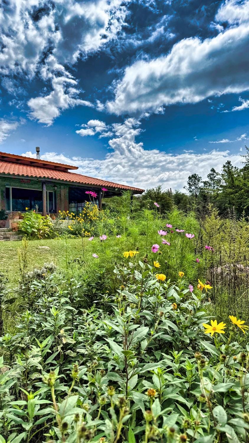 Posada Sausalito Vacation rental in Cordoba Province