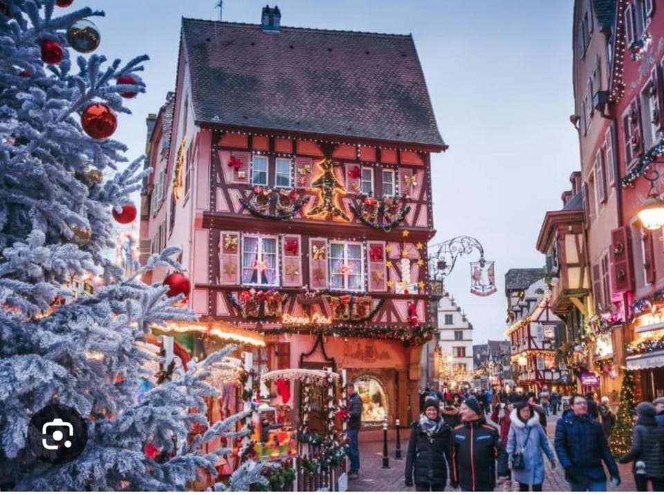 La Tour du Bois fleuri Apartment in Colmar
