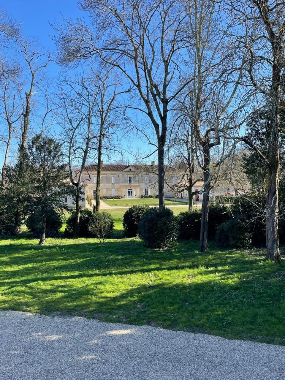 Garden view
