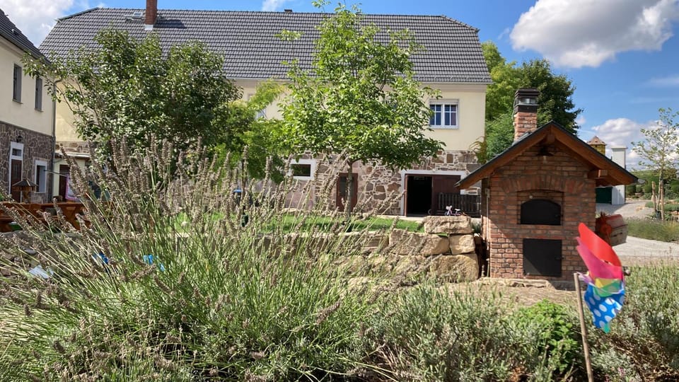 Property building, Garden, Garden view