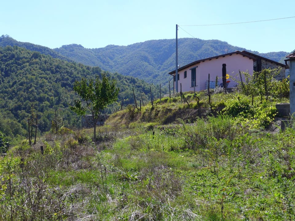 Property building, Natural landscape