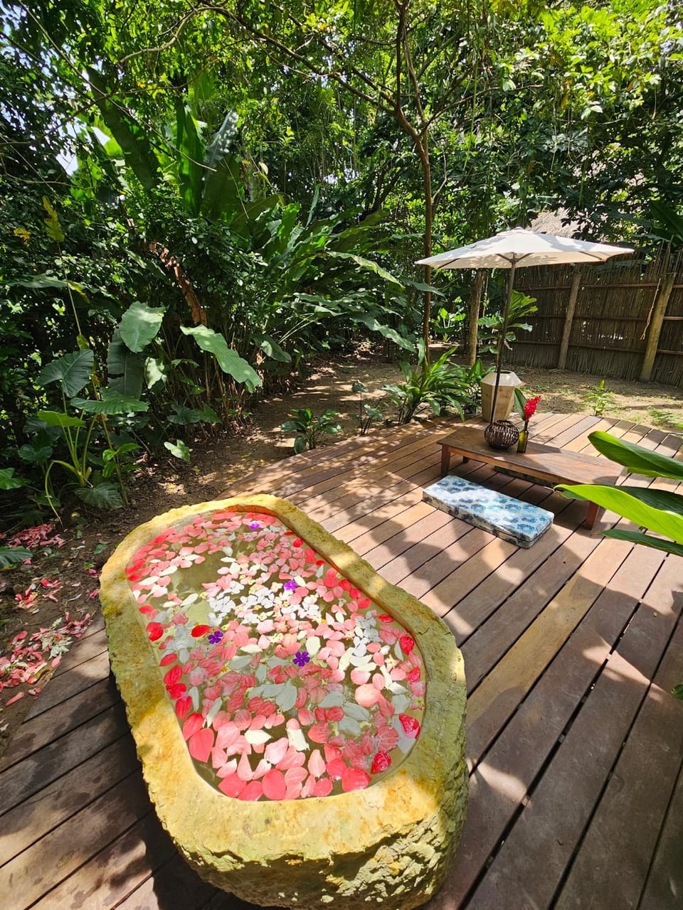 Salvia Madre Hotel Boutique Hotel in Magdalena, Colombia