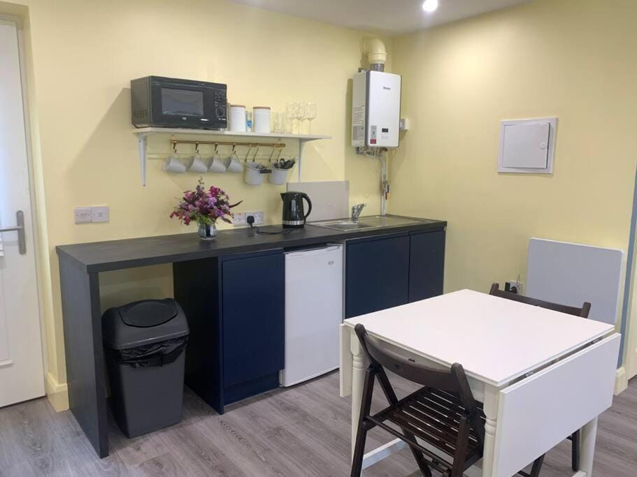 The Cosy Studio by the shore Apartment in County Galway