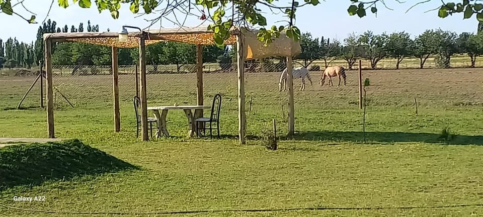 Casa de campo Luffi House in Mendoza Province Province