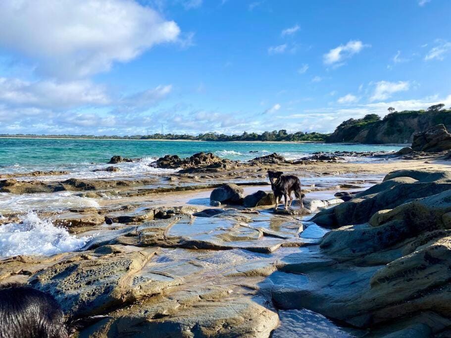 Salty Paws Dog Friendly Luxe Cottage House in San Remo