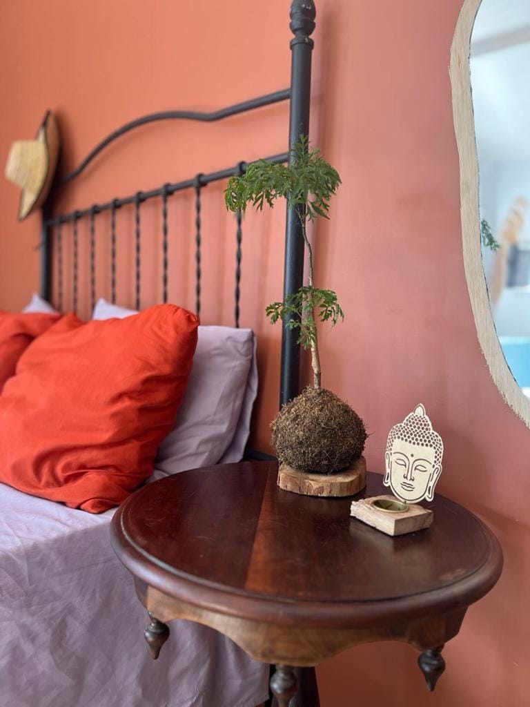 Casa das Lunas Apartment in Praia do Forte