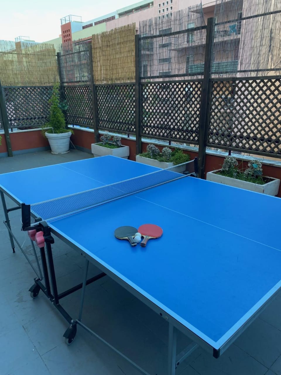 Table tennis